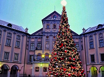 Take a walk to see the Christmas tree at the Palace!
