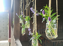 В рамках Года благоустройства-2025 территория музея-заповедника «Несвиж» подверглась комплексному благоустройству